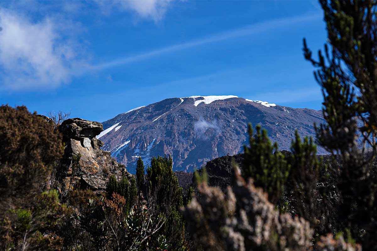 Kilimanjaro